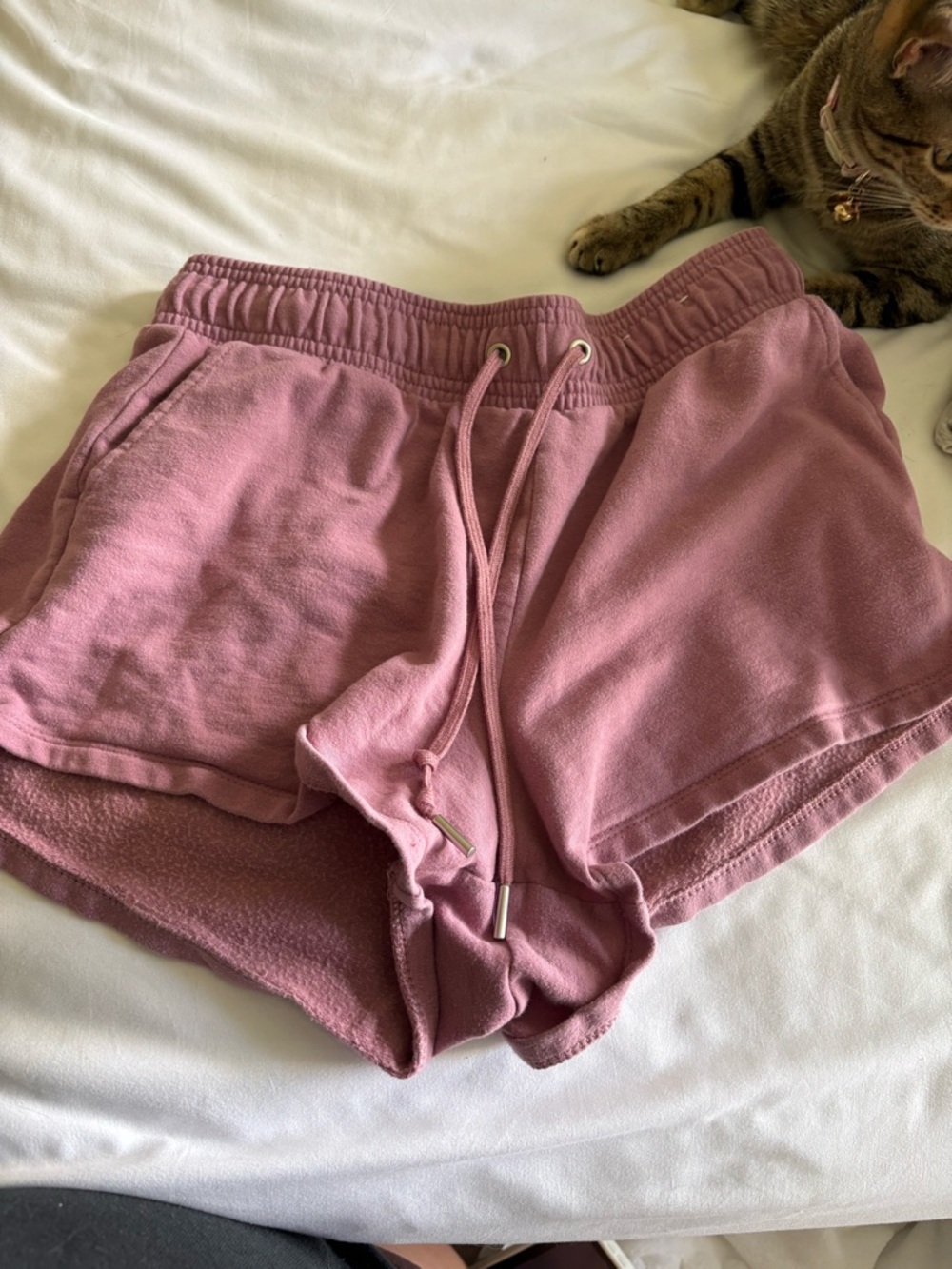 Auden sweat shorts Shorts in Dusty Rose